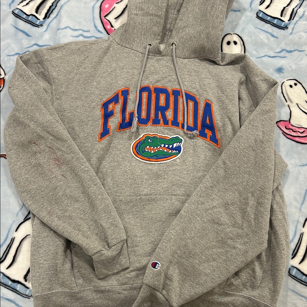 FLORIDA GATORS CHAMPION HOODIE size L